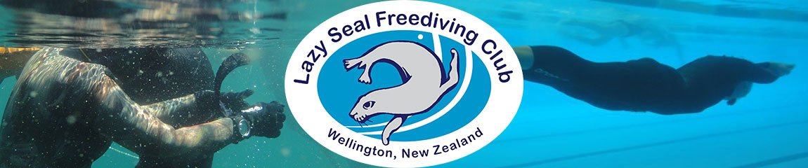 Lazy Seal Freediving Club