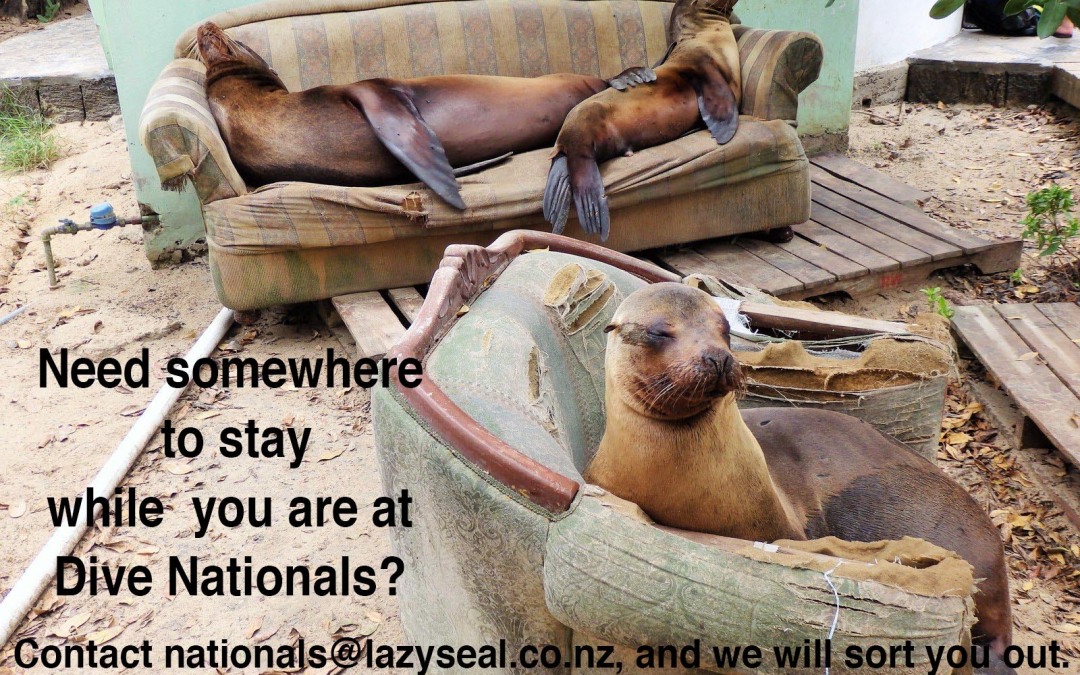 #freediveNats – Accommodation